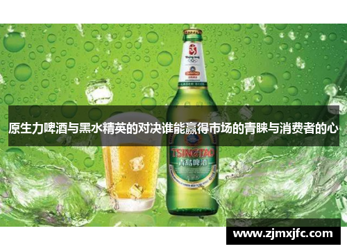 原生力啤酒与黑水精英的对决谁能赢得市场的青睐与消费者的心
