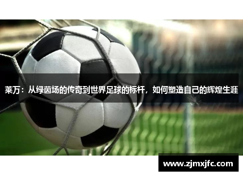莱万：从绿茵场的传奇到世界足球的标杆，如何塑造自己的辉煌生涯
