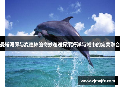 曼塔海豚与麦德林的奇妙邂逅探索海洋与城市的完美融合